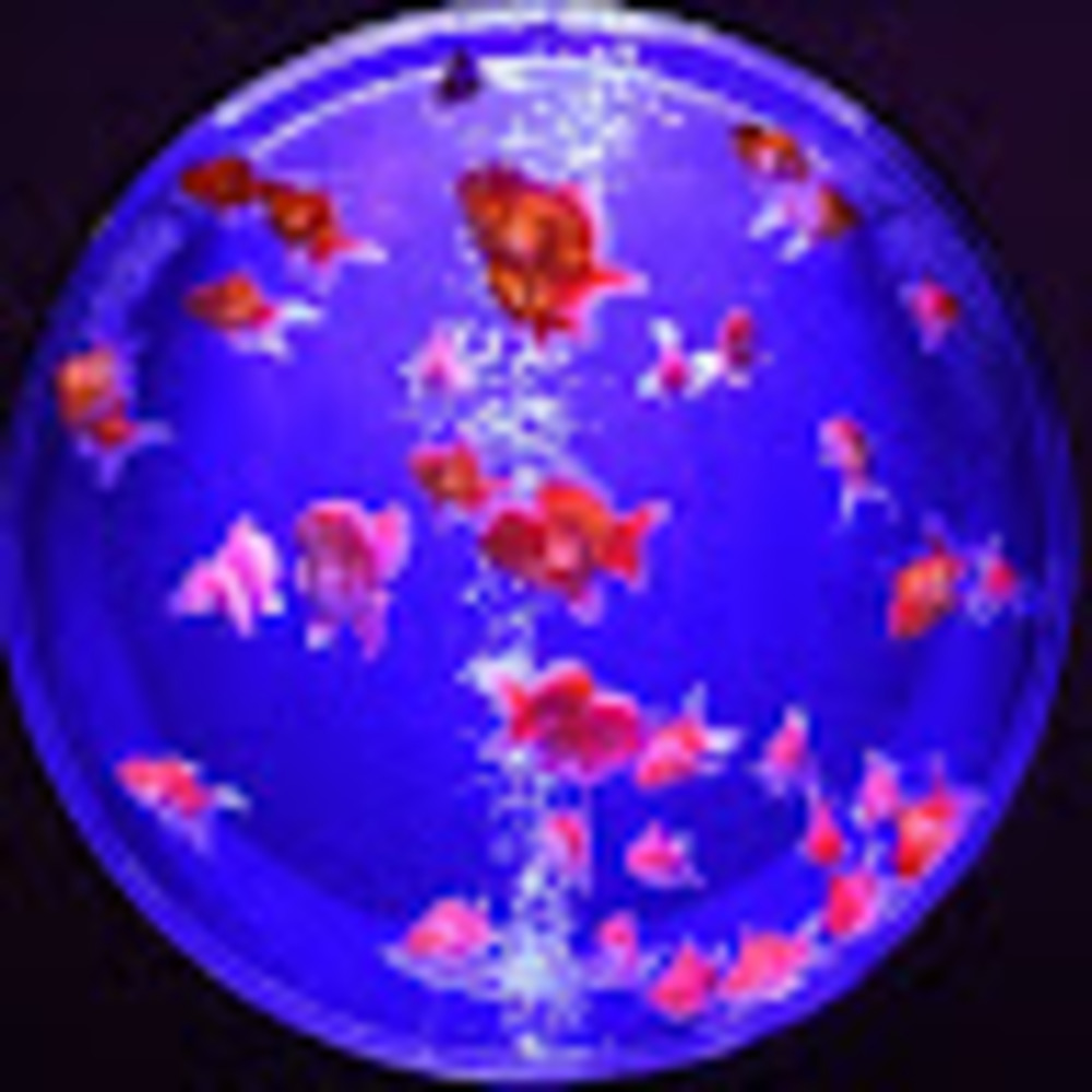 Meet your Posher, Caramelo